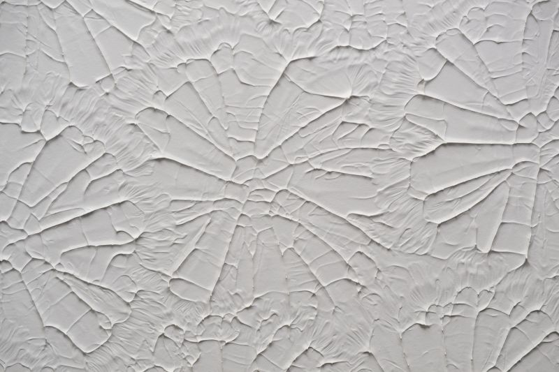 Stipple Ceiling Repair Service